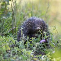 Photo of Natalie & Dean Coulter