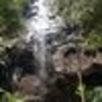 Photo of Dominique E.