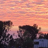 Photo of Robbie Robbins Reserve