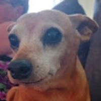 Photo of NightRanger D.