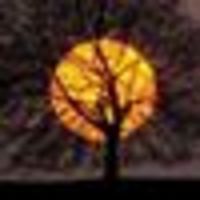 Photo of Jay Jay Jay Jay